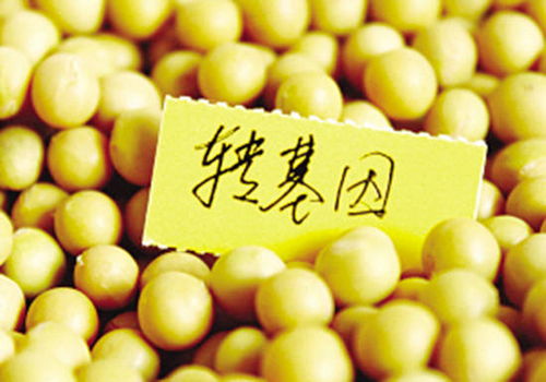 真相了！一文搞懂轉(zhuǎn)基因食品與日用品的檢測方法